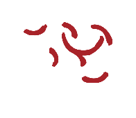 3868la天河总站(集团)股份有限公司 - Make It Possible